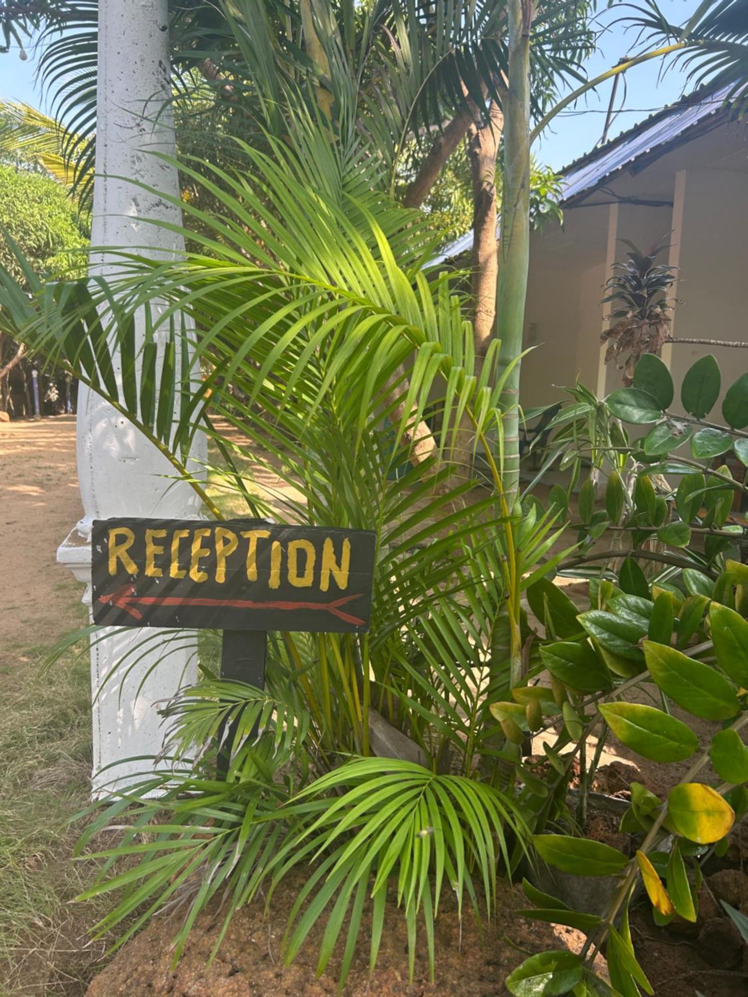 Starfish Beach Bungalow Arugam Kudah Eksteriør bilde